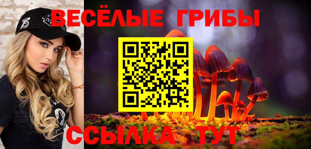 наркошоп  Галлюциногенные грибы Psilocybine cubensis  Вход с VPN  Тимашёвск 
