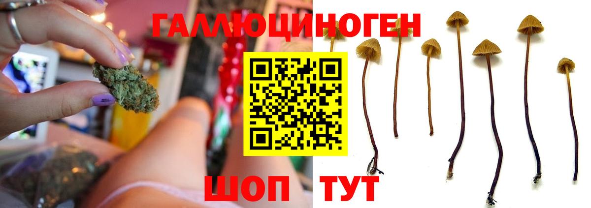 МДМА  Тимашёвск  МЕФ   ГАШИШ  Вход с VPN 